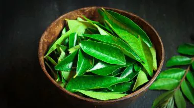 garnishing-instructions-image